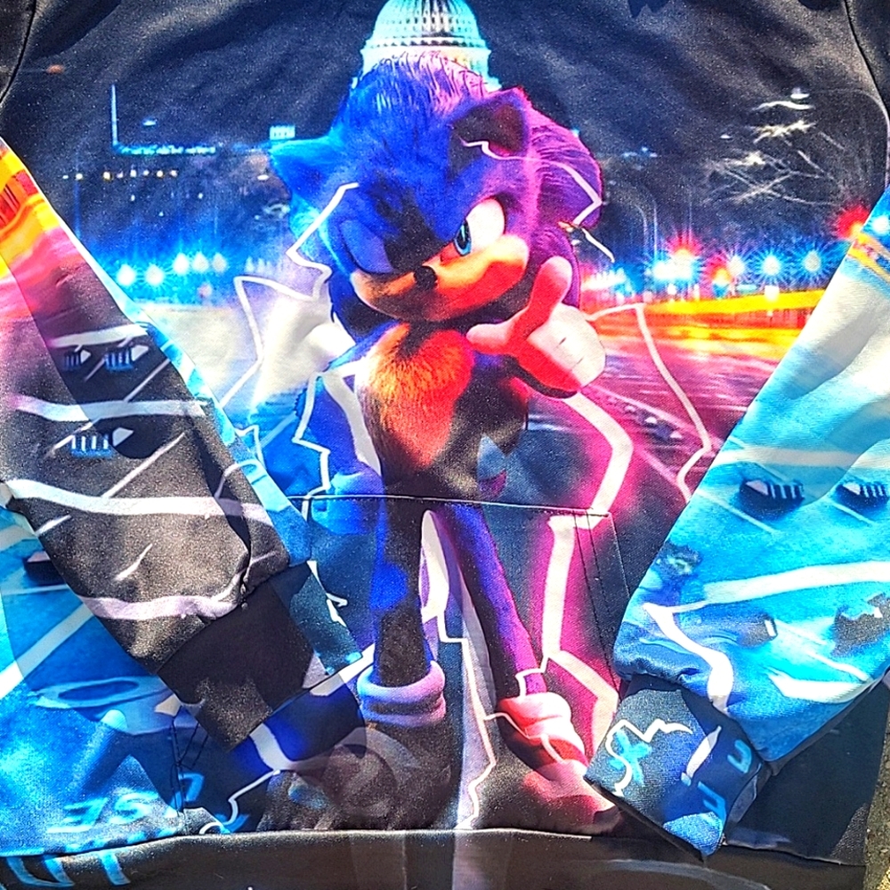 Sonic Hoodie